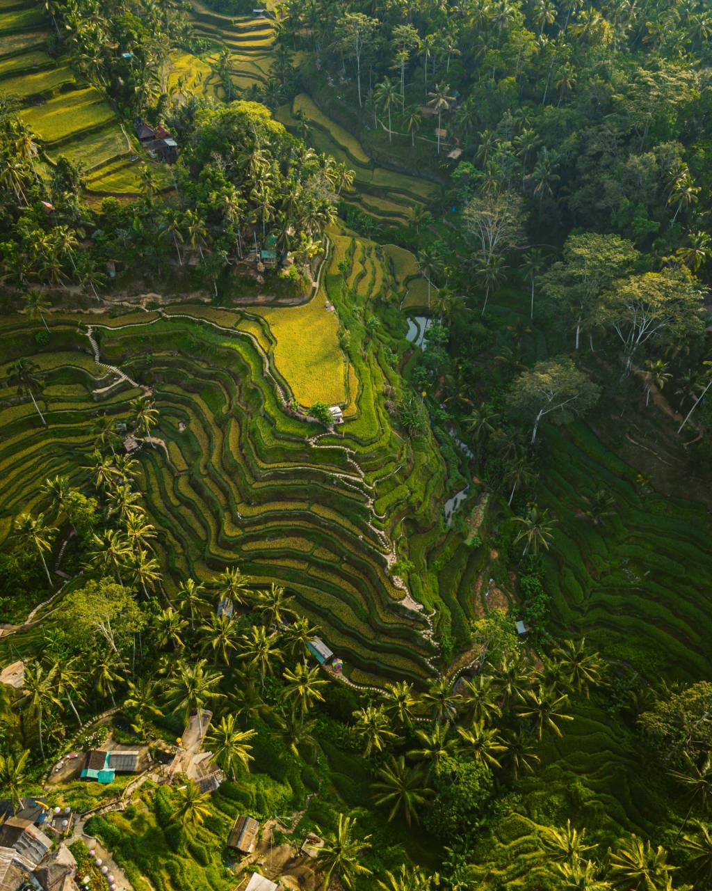 Ubud